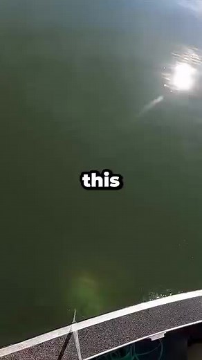 He Pulled a Giant Gar from the Lake—Unexpected Catch Surprise
