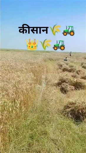कीसान🌾🚜फारमीग👍#DR rajput up 24