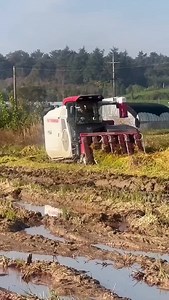 yanmar rice harvester machine . . . . . . . . . #shorts #yanmar #yanmarharvester #harvester #combineharvester #paddyharvester #harvesting #khetibadi #farming #agriculture | 혽홡홪홚 혾홝홚홢홥 | Facebook