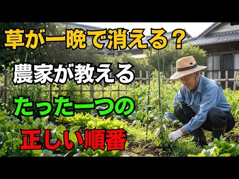 【衝撃】雑草が一夜で消えた!? 農家だけが知る“草ゼロ畑”の裏ワザ、今すぐ試して！【家庭菜園】 #雑草対策 #草が生えない畑 #農家の知恵 #家庭菜園