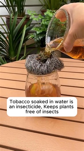 useful tree planting tips #gardening #garden #gardeningtips #gardenlife #gardeninspiration #gardenideas #gardenlove #gardendesign #gardenersofinstagram #gardenersworld #garden_styles #gardenphotography #gardenlovers #gardenerslife #gardenart #gardenbeauty #gardensofinstagram #gardenplants #gardenviews #gardenersparadise #gardenista #gardeningcommunity #gardenloversclub #gardenaddict #gardeners #gardenerslife | Gardening tips