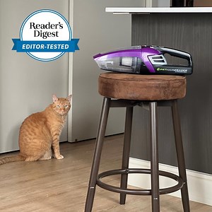 I Can’t Clean My Home Without the Bissell Pet Hair Eraser—the Handheld Vacuum Every Pet Parent Needs