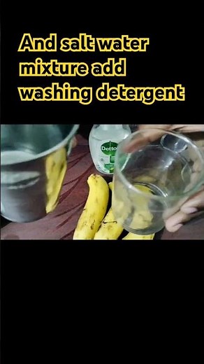 DNA isolation experiment #class12biology #class_12_practical