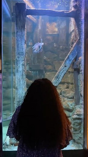 Southend-on-Sea | Family trip to Sealife Adventure Aquarium
