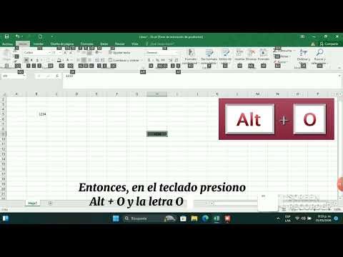 Copiar, pegar, cortar y copiar formato (en Excel)