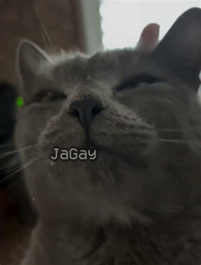 half life (0.9.7) (no effort) #halflife #halflife1 #shorts