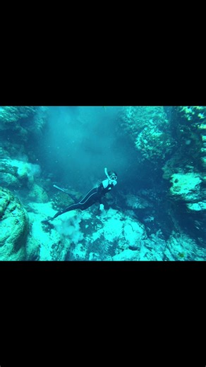 Sometimes you have to go under to find your way back up #florida #springs #freedive #ocalanationalforest #swimtok