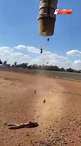 218K views · 1.5K reactions | The mice plague isn't going away... #9ACA Is it time the Government stepped in to combat the spread? | A Current Affair | Facebook