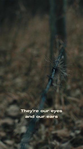 For more than 20 years, SPYPOINT trail cameras have been your eyes and ears in the field—capturing the moments you would’ve missed, building seasons of history with game, and turning information into knowledge. Because the more you know, the better decisions you make when it counts. More than 20 years of captures. More than 20 years of learning. Now, a new era of trail camera evolution. | SPYPOINT-Canada