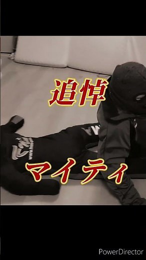 追悼 マイティ井上