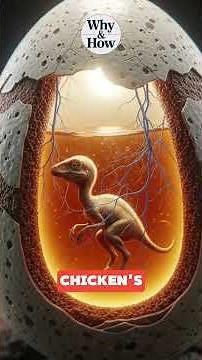 What was really inside dinosaur eggs?