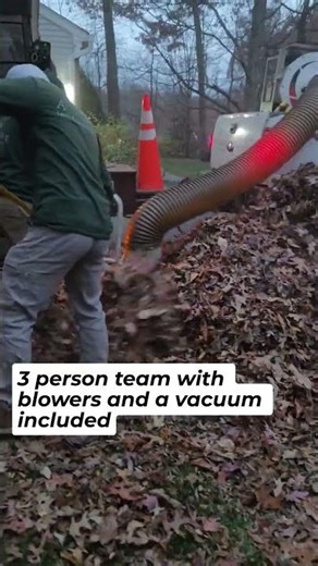 Leaf removal service in Northern Virginia #landscaping #lawncare #leafremoval