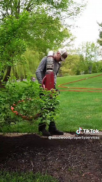 Creative Ways to Use a Wheelbarrow for Outdoor Projects