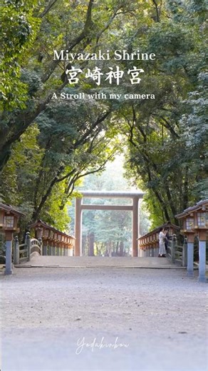 宮崎神宮 - miyazaki Shrine