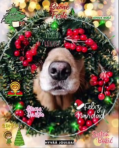 Merry Christmas in different languages. | Pam's Gifs and Videos