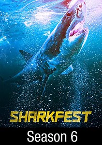 SharkFest: Shark Beach With Chris Hemsworth