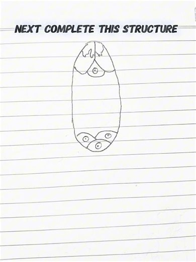 A STRUCTURE OF TYPICAL EGG