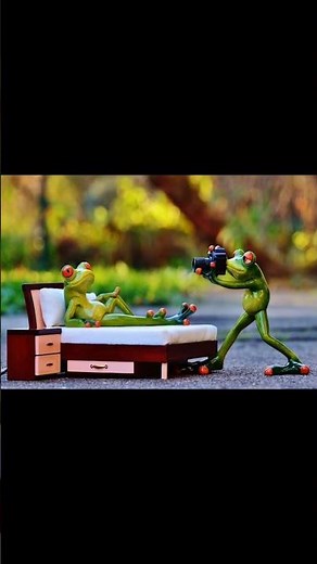 “Frog Photoshoot Gone Wild! 😂📸 Funny Cartoon Moments”