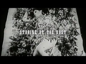 Scrim- staring at the dust (official lyric video)