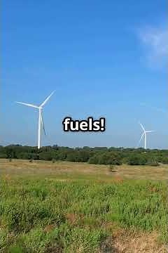 Top 5 Scientific Discoveries of 2025!