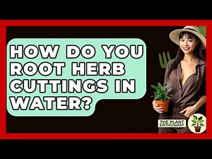 How Do You Root Herb Cuttings In Water? - The Plant Enthusiast