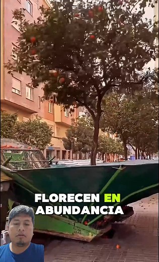 1.4M views · 10K reactions | En la ciudad de #Valencia, #España...