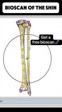 Bioscan of the shin- female: 🧬