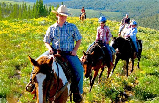 Log-off from life admin; log on to Logan adventures instead!