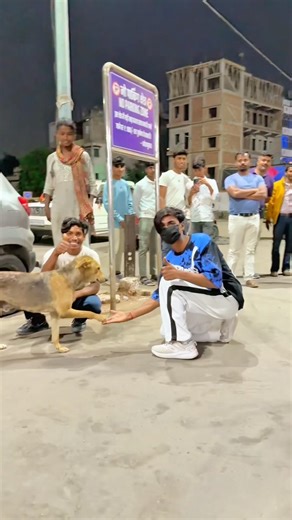 Dog🐶Performs Amazing Flip🤸‍♂️ #DogFlip #DogTrick #AgilityDog #FunnyDogs #DogLovers #pets