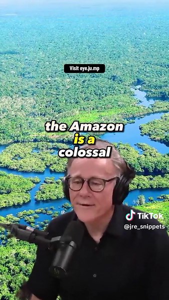 Uncovering Amazon's Ancient Mysteries: Irrigation Channels Revealed