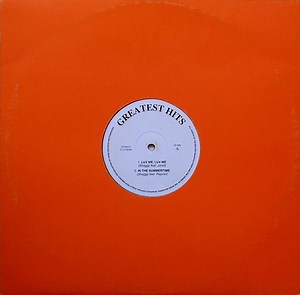 Shaggy / Stevie Wonder / Big Punisher - Greatest Hits