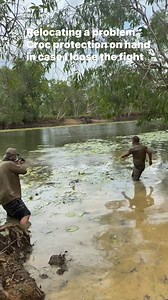 Relocating a problem croc, Works carried out by trained and licensed professionals, #livecapturespecialists #crocodile #livestockandpropertyprotection @top fans #subscribersonly | IHunt DownUnder