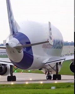 12M views · 100K reactions | Toda'ys visitor to Hawarden Airport, Beluga #3 blasting off runway 04! Best view in the house! | Airliners Live | Facebook