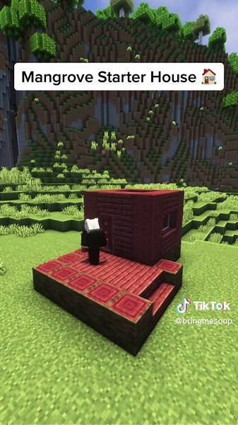 Mangrove Starter House in Minecraft