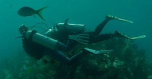 Eastside-raised filmmaker’s documentary focuses on diving group chronicling shipwrecks from the slave trade