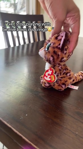 Phoenix the Beanie Boo Collecting Journey
