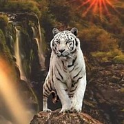 Daniel Moose - 34 года на Мой Мир@Mail.ru