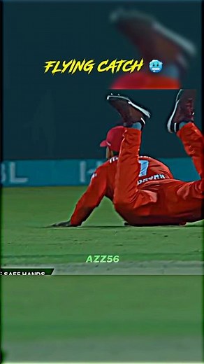 FLYING CATCH ✈️ #cricket #shorts