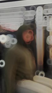 67K views · 871 reactions | ‍♂️I don’t care if i have to restart a million times. I won’t settle for a life i don’t want  #reels #instagood #explorepage #viral #gym #gymlife #motivation #fitness | Anmol Kwatra | Facebook