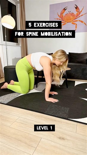 5 exercises for spine mobilisation steps #shorts