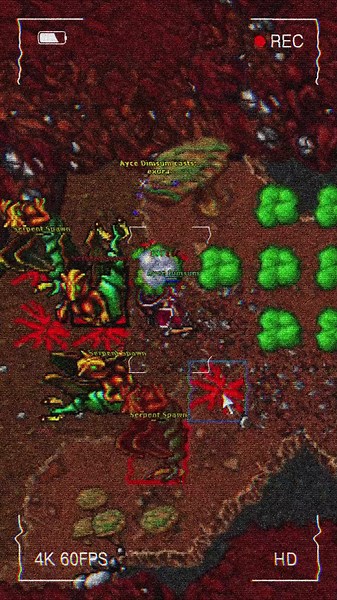 Tibia Time Boosted Series: Serpent Spawn Adventure