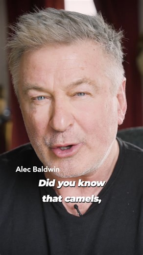 409K views · 29K reactions | He’s been at Rockefeller Center plenty, but this time Alec Baldwin’s message to Radio City is simple: camels, sheep, and donkeys don’t belong on stage or in basements. Join the call for an animal-free Christmas Spectacular  | PETA (People for the Ethical Treatment of Animals) | Facebook