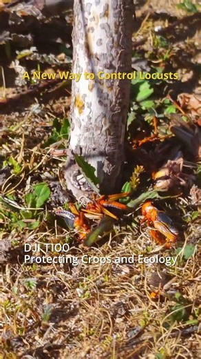 Locust control just got smarter with T100!