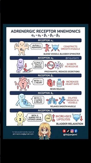 A quick mnemonic to remember adrenergic receptors! #pharmacy #pharmacology #msjem