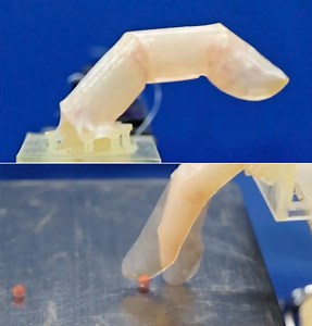Researchers Grow Human-Like Living Skin on Robotic Finger That Can Heal When Cut