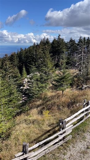 It’s official! Mount Mitchell in Burnsville, NC has been named Best Overlook in the 2026 Blue Ridge Outdoors Magazine Best of the Blue Ridge Awards by its readers. We couldn’t agree more! At 6,684 feet, Mt. Mitchell is the highest peak east of the Mississippi with a short, paved walk to the summit observation deck with its 360° views (up to 85 miles on a clear day!). In case you’re craving more mountain adventure, the Balsam Nature Trail and Deep Gap Trail start close to the summit. To the reade