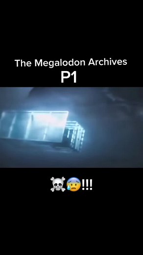 The best Megladon sightings #shark