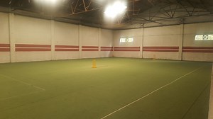 Gravity Ball Park Turf | CricketGraph