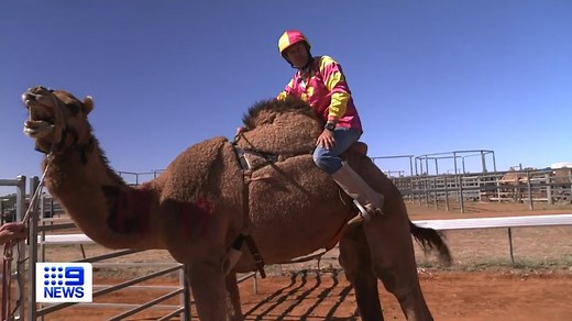 There was camel tagging, camel kisses, camel racing and much more for this years Boulia Camel Races! More than 4000 race goers swelled the tiny town of Boulia over the weekend to watch the Melbourne Cup of Camel Racing with Firebelly Em winning Australia's longest and richest camel race by a nose over Billy. Congratulations to all the Boulia Camel Races team, here's to a great 2024! Thank you 9 News Queensland #outbackqueensland #bouliacamelraces #itslive #thisisqueensland Visit Queensland, Aust