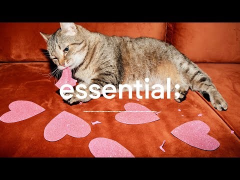 [Playlist] 말랑한 하루를 위한 알앤비 | soft r&b for a cozy day 🧸